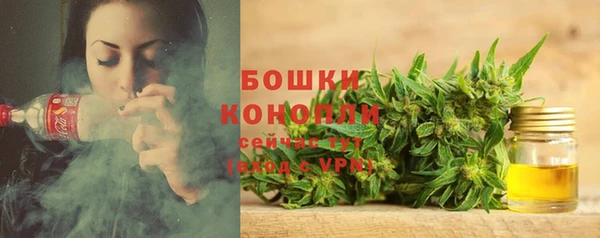 spice Абаза