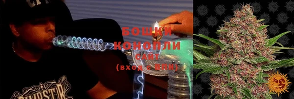 прущие грибы Абинск