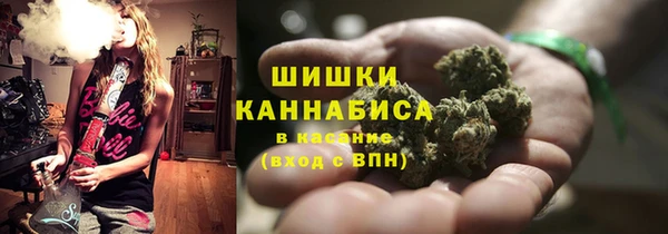 spice Абаза
