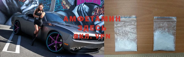 прущие грибы Абинск