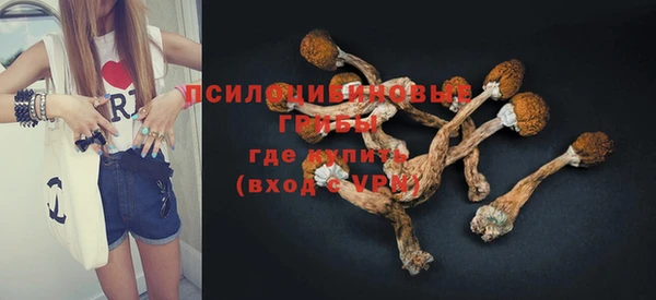 прущие грибы Абинск
