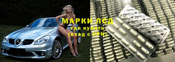 прущие грибы Абинск